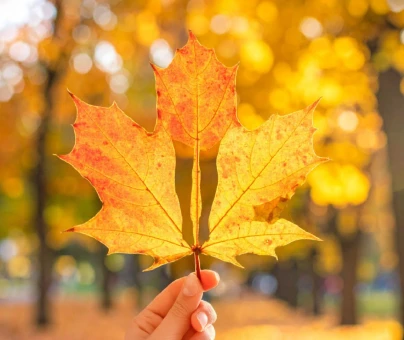 Rudens lapa ar kāju formas izgriezumu