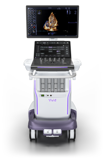 Vivid-family--vivid-pioneer-image-208x300